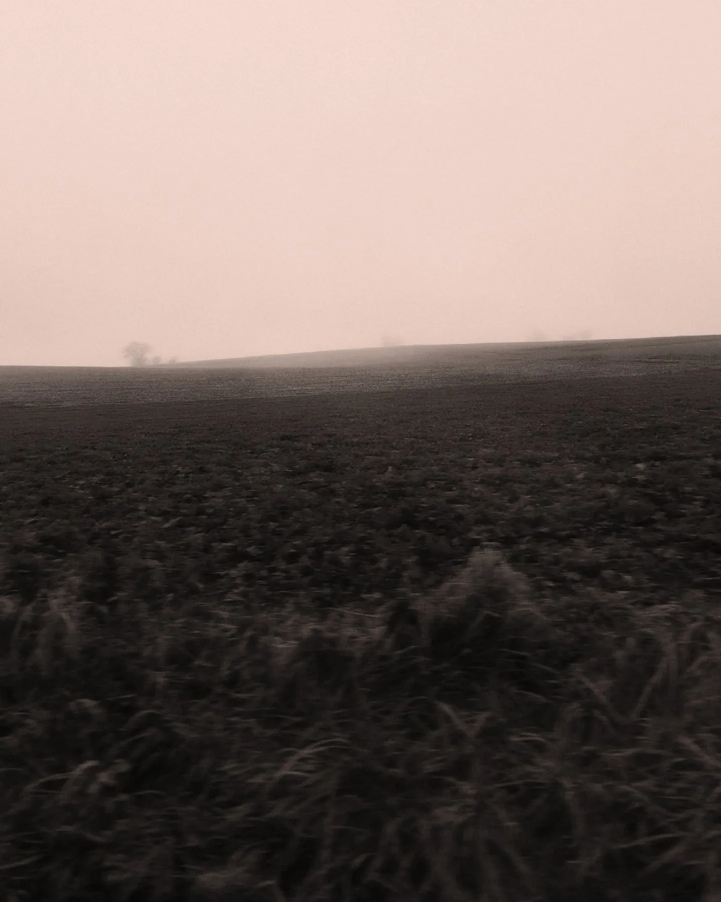 Ploughed field fading into morning mist beneath a pale rose sky