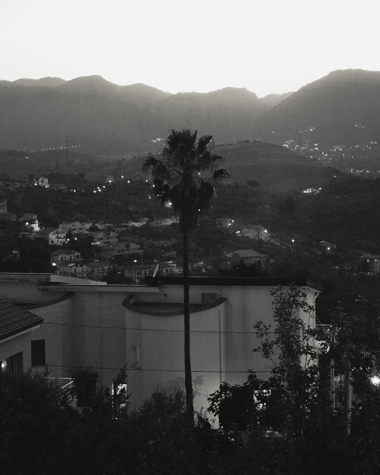 Palm tree silhouetted over hillside town lights on a dark evening